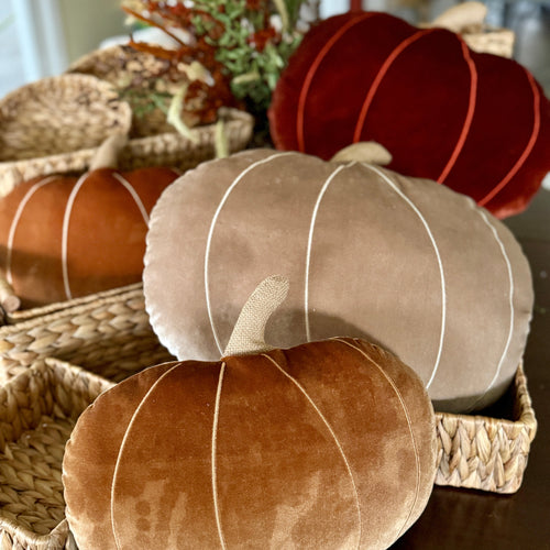 NEW! Fall Pillows for 2025