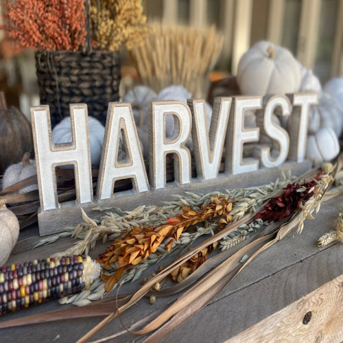 Carved HARVEST on Base