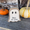 CA-5082 - Boo to You 3D Wash Ghost (DUE IN JUNE)