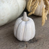 CA-5243 - Sm. White 3D Carved Pumpkin