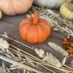 CA-5252 - Wide Orange 3D Carved Pumpkin