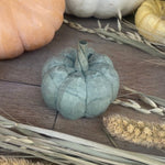 CA-5254 - Wide Green 3D Carved Pumpkin