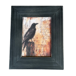 CA-5309 - Black Crow Frame