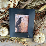 CA-5309 - Black Crow Frame (DUE IN MAY)