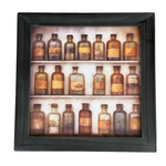 CA-5317 - Potions on Shelf Frame