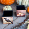 CA-5324 - Crow/Pumpkins Container