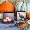 CA-5324 - Crow/Pumpkins Container