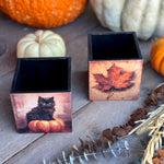 CA-5325 - Leaf/Black Cat Container