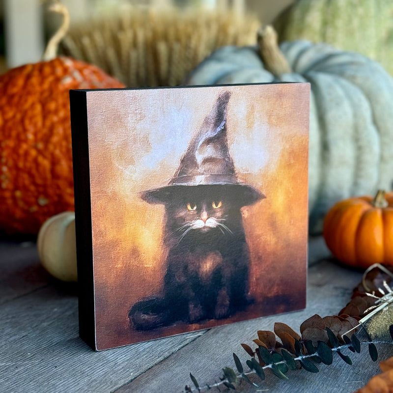 CA-5328 - Black Cat w/Hat Box (DUE IN MAY)