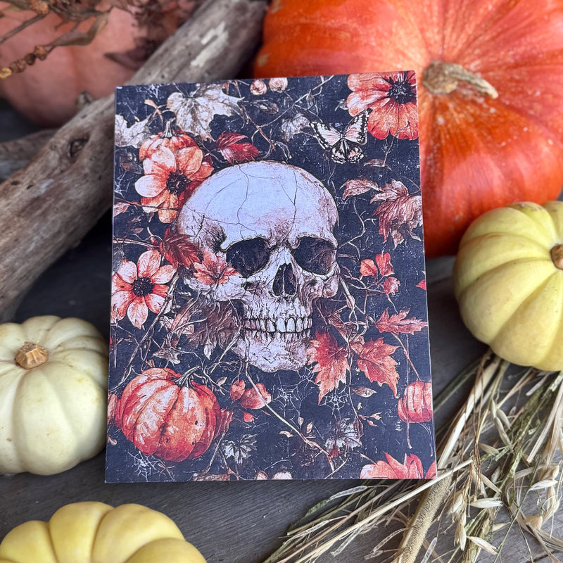 CA-5418 - Skull & Pumpkins Box