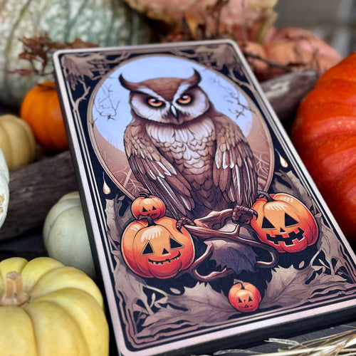 CA-5419 - Owl Tarot Card Box