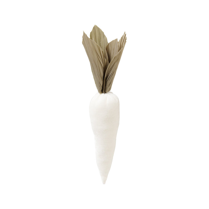 White Velvet Carrot