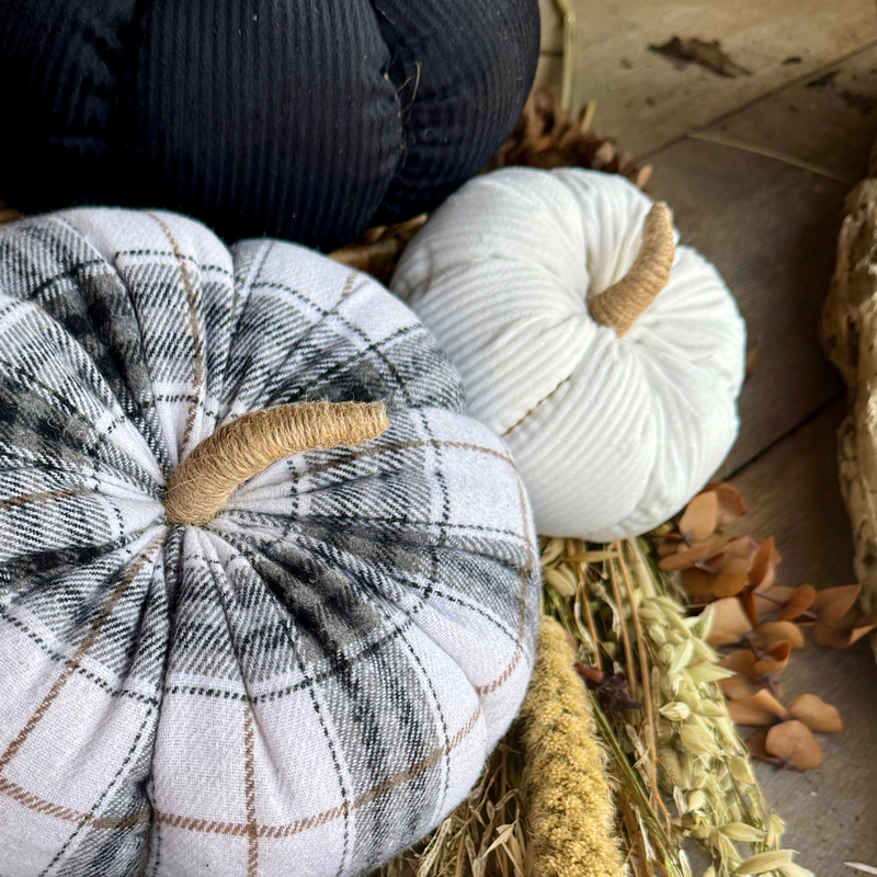 CF-3238 - Med. White Corduroy Pumpkin