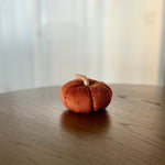 CF-3245 - Med. Rust Corduroy Pumpkin