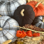 CF-3246 - Med. Black Corduroy Pumpkin