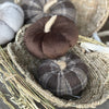 Med. Mocha Corduroy Pumpkin 