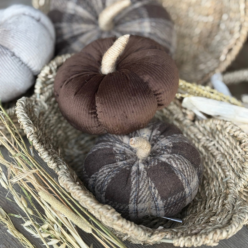 Med. Mocha Corduroy Pumpkin 