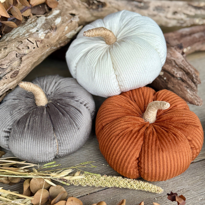 CF-3240 - Med. Gray Corduroy Pumpkin