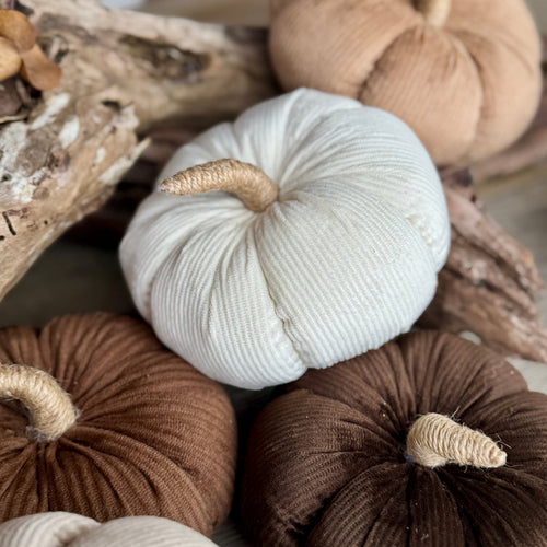 Med. Cream Corduroy Pumpkin 
