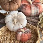 CF-3277 - Small Dusty Plaid Pumpkin