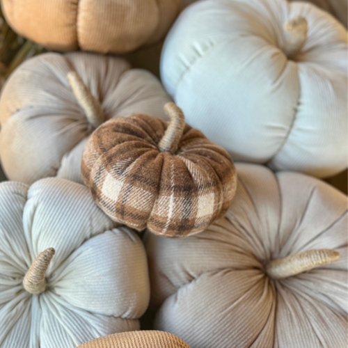Medium River Plaid Pumpkin 