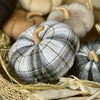 CF-3291 - Large Maverick Plaid Pumpkin