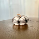 CF-3291 - Large Maverick Plaid Pumpkin