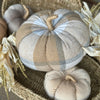 XL Ryder Plaid Pumpkin