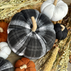 CF-3300 - XL Jesse Plaid Pumpkin