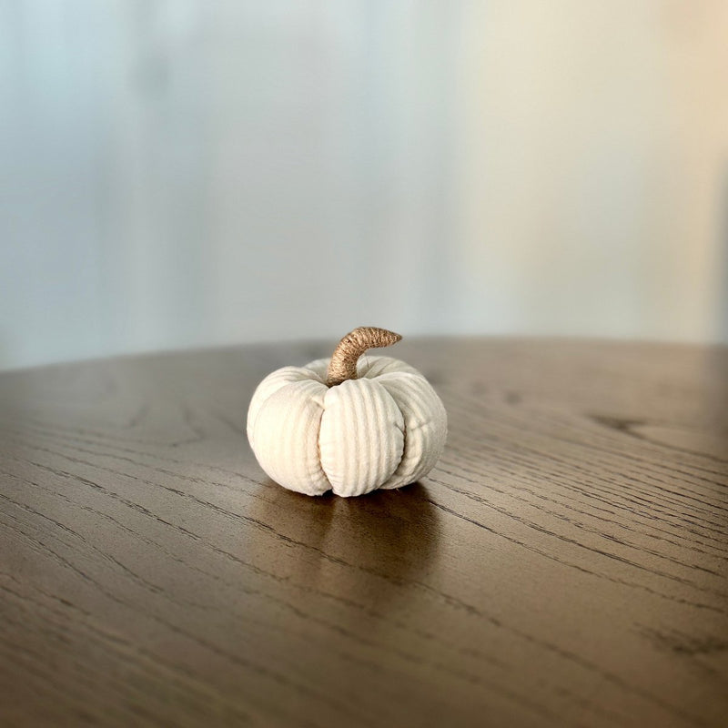 CF-3302 - Sm. White Corduroy Pumpkin