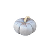 CF-3316 - Lrg. Silver Corduroy Pumpkin