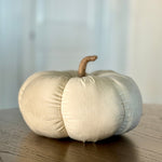 CF-3330 - XL Cream Corduroy Pumpkin