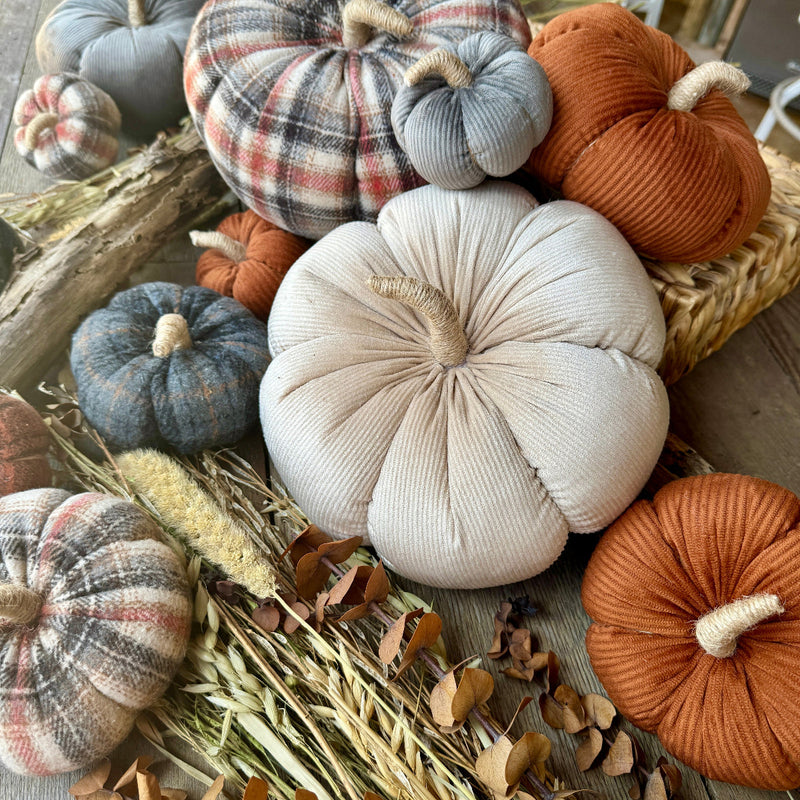 XL Cream Corduroy Pumpkin 