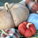 XL Tan Corduroy Pumpkin