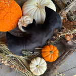 Black Velvet Bat Pillow 