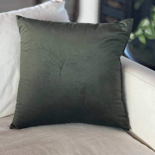 Dark Green Velvet 20x20 Pillow 