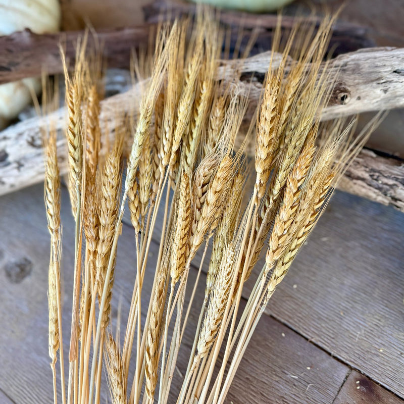 Natural Wheat