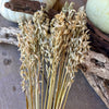 DF-7015 - Natural Oat Grass