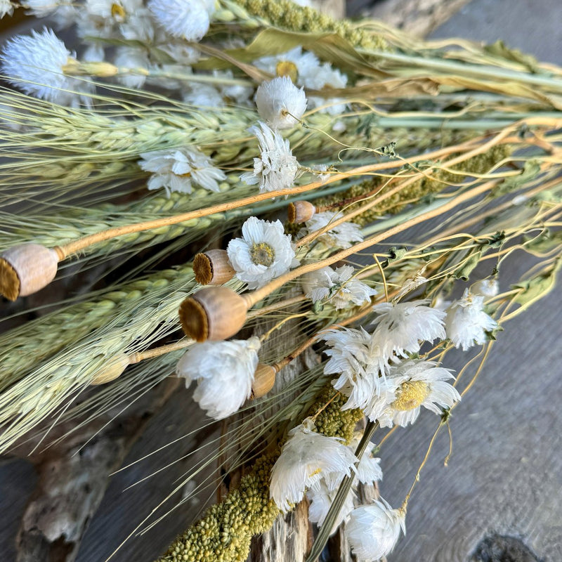 DF-7031 - Pearly Everlasting Bouquet