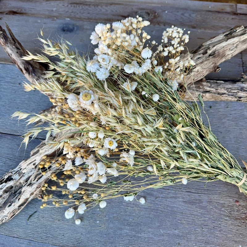 DF-7031 - Pearly Everlasting Bouquet