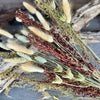 DF-7032 - Bristlegrass Bouquet