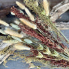 DF-7032 - Bristlegrass Bouquet