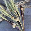 DF-7036 - Barnyard Grass Bouquet (DUE MID APRIL)