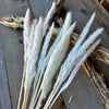 DF-7053 - White Reeds