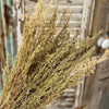 DF-7072 - Natural Artemisia (DUE MID APRIL)