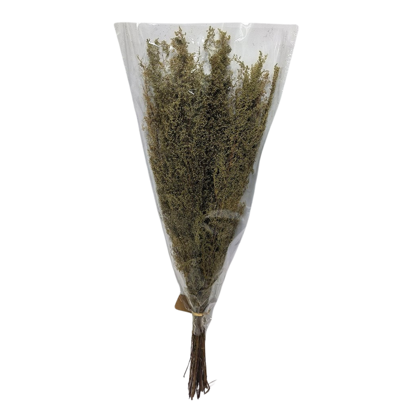 DF-7072 - Natural Artemisia