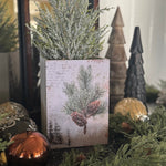 FR-3904 - Pine Trees Container