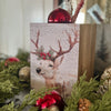 FR-3905 - Reindeer/Pine Tree Container