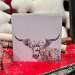 Winter Cow Box