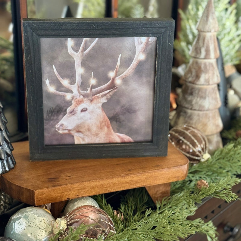 FR-3931 - Reindeer Lights Frame